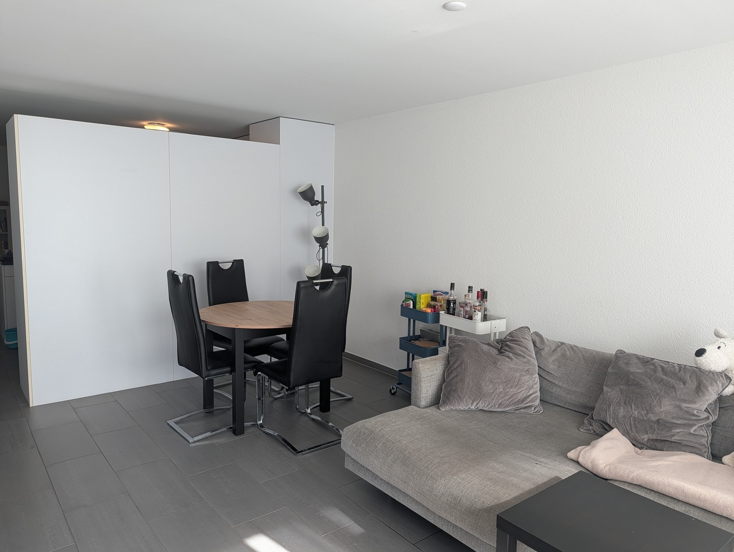 Appartement de 2 ½ pièces