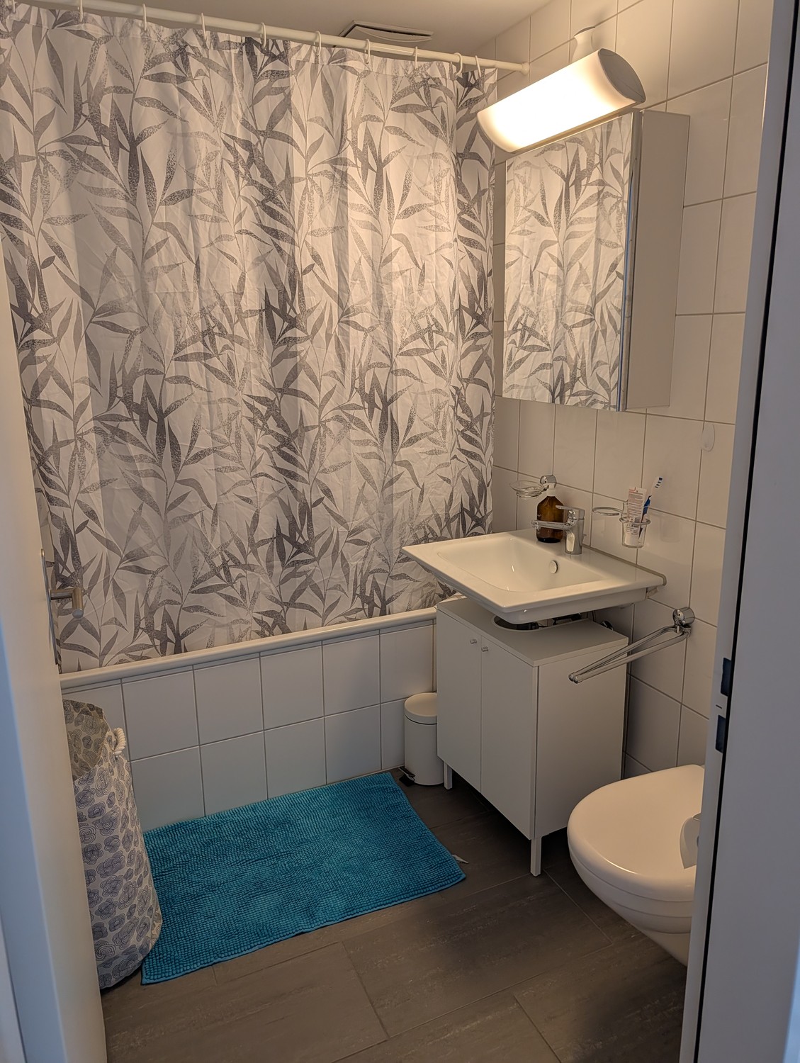 Appartement de 2 ½ pièces