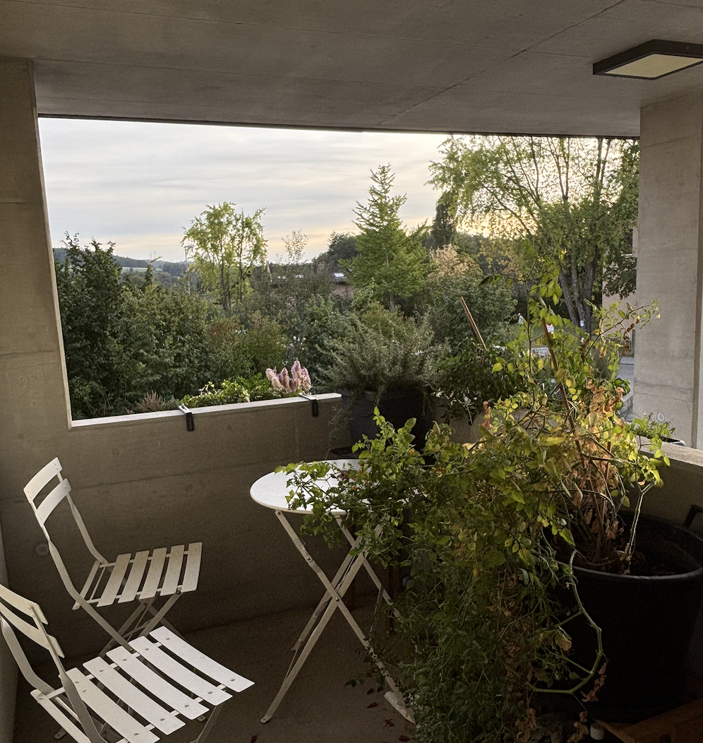 Appartement de 2 ½ pièces