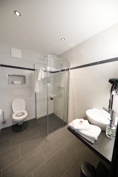 appartement meublé 1 pièce