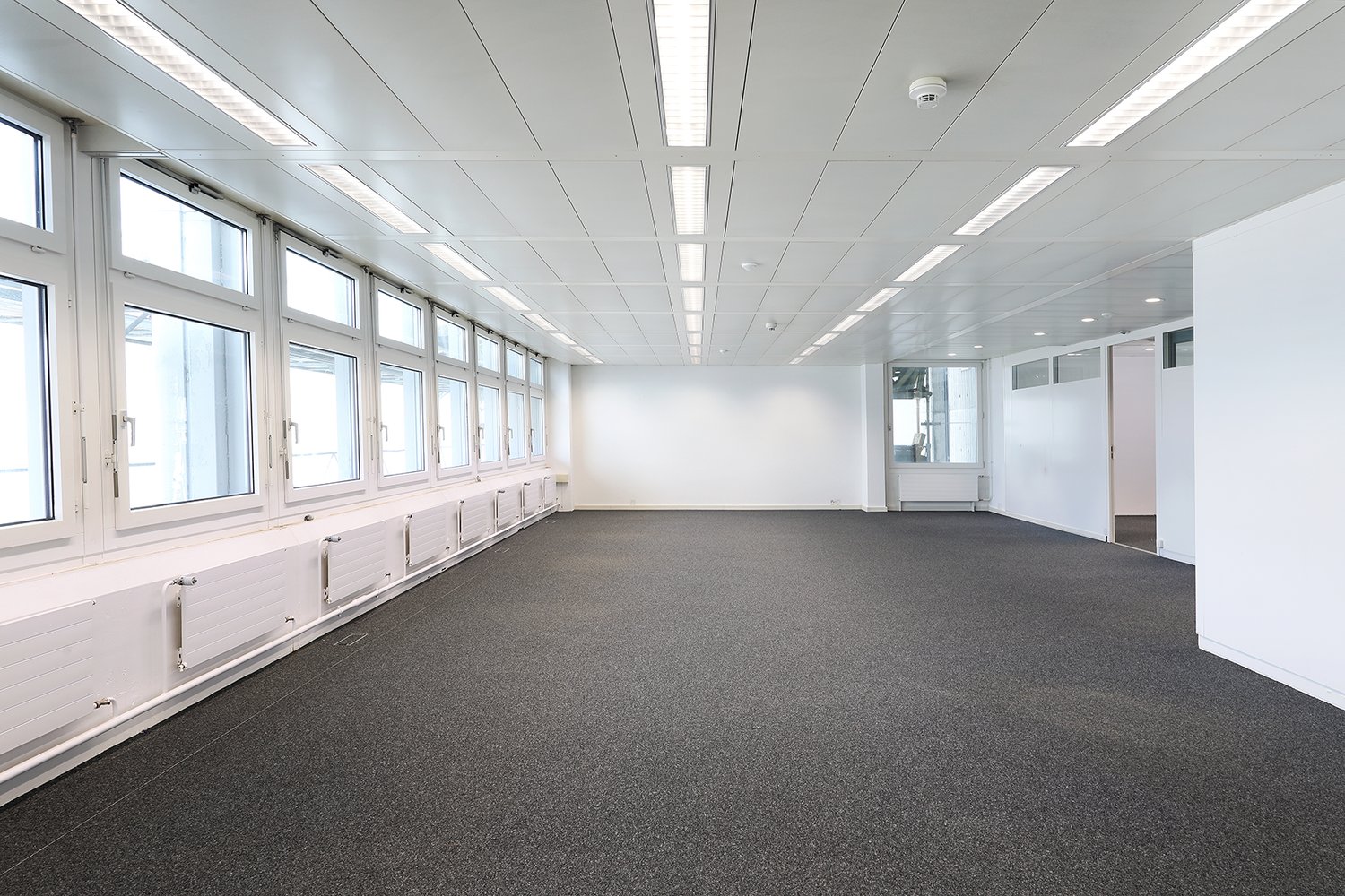 137m² office