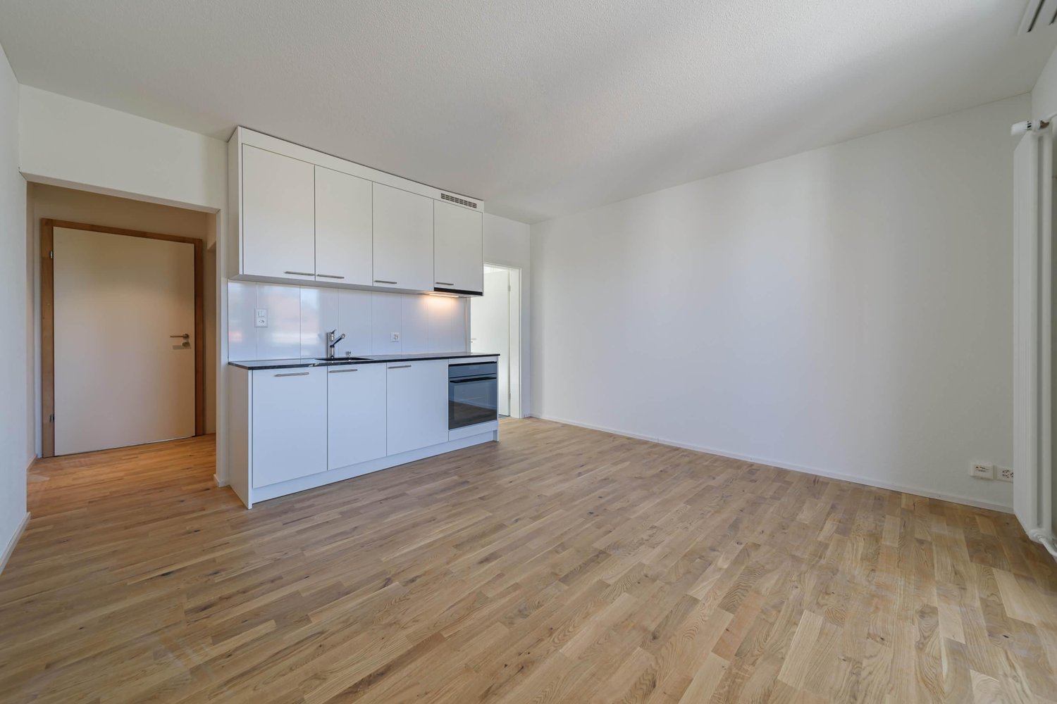 1 ½ rooms apartment, photo 3 sur 10