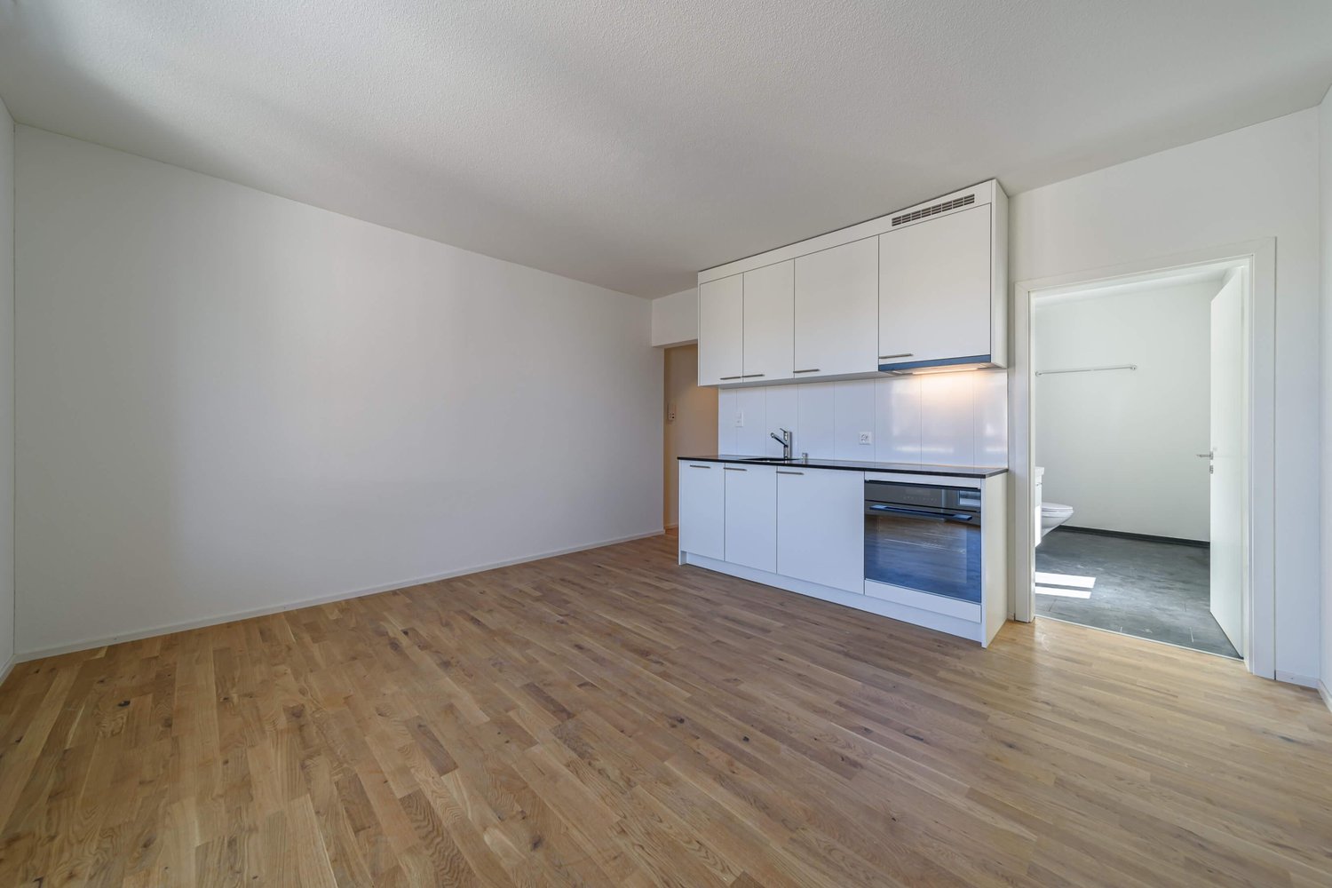 1 ½ rooms apartment, photo 4 sur 10