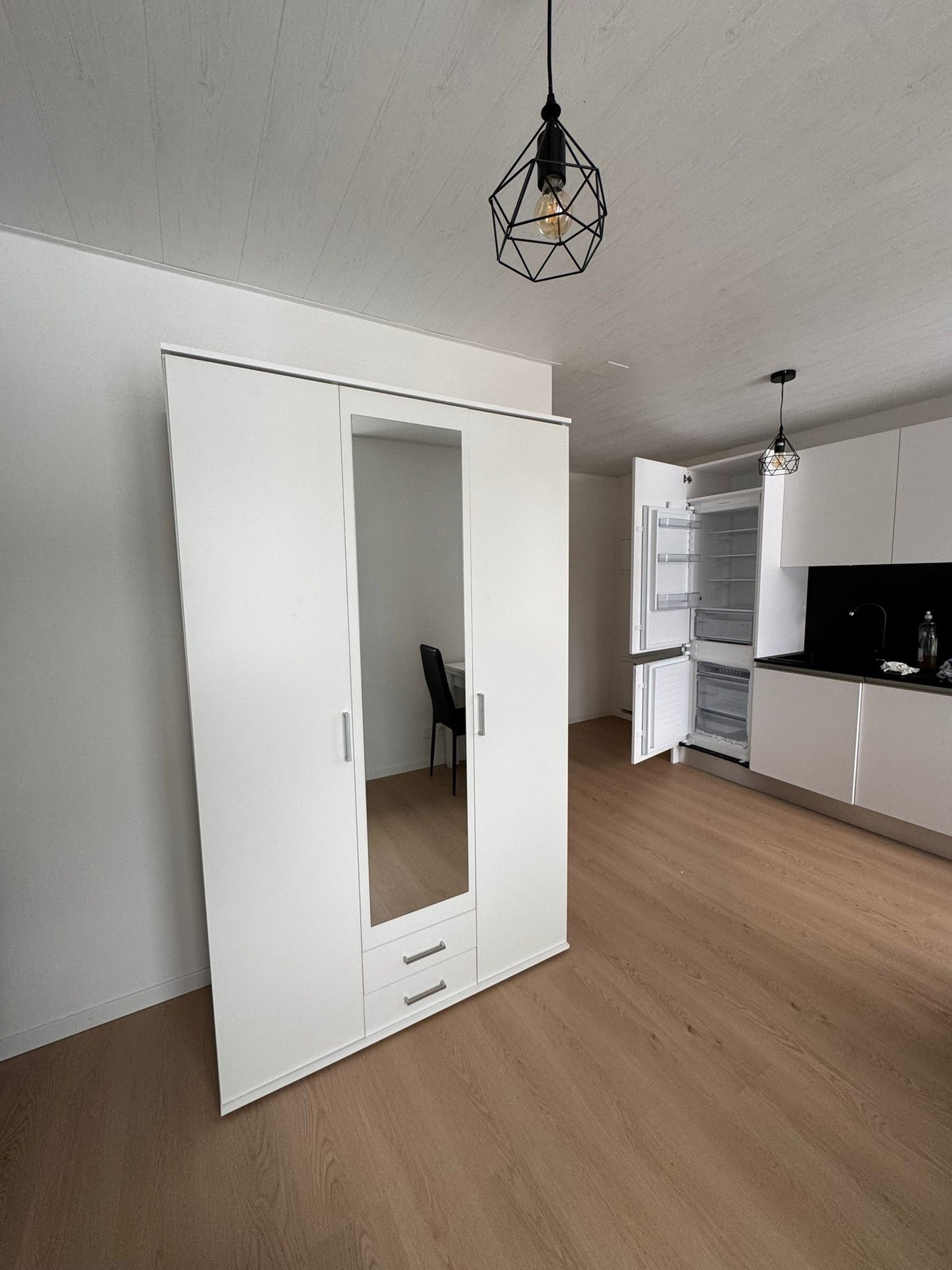 1 ½ rooms furnished flat, photo 4 sur 7