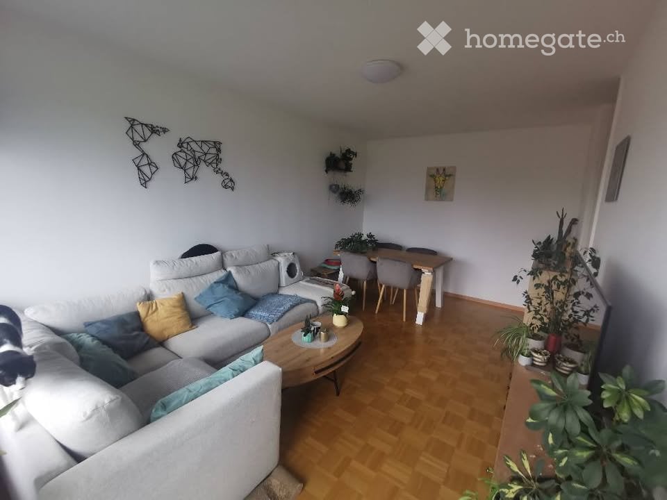 3 rooms apartment, photo 3 sur 5