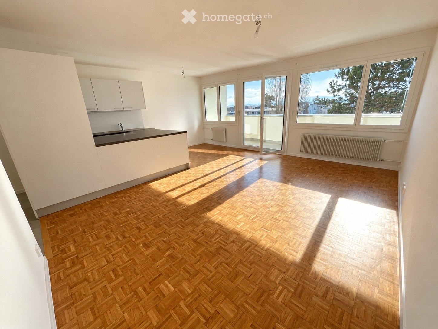 4 ½ rooms apartment, photo 2 sur 3