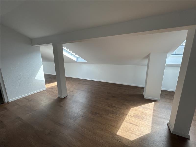 loft 1 pièce