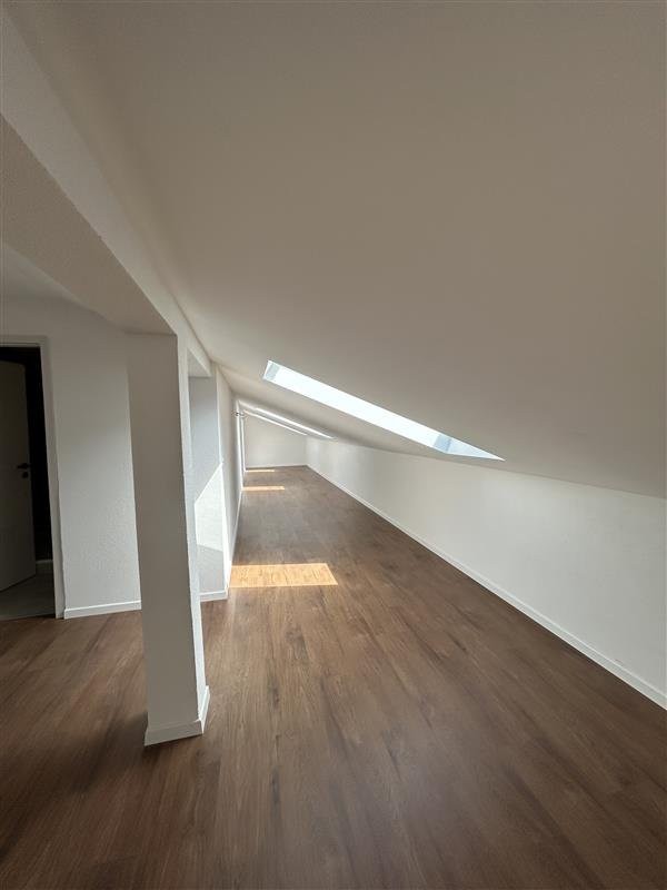 loft 1 pièce