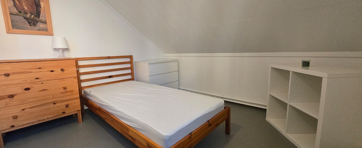 Chambre dans un appartement partagé
