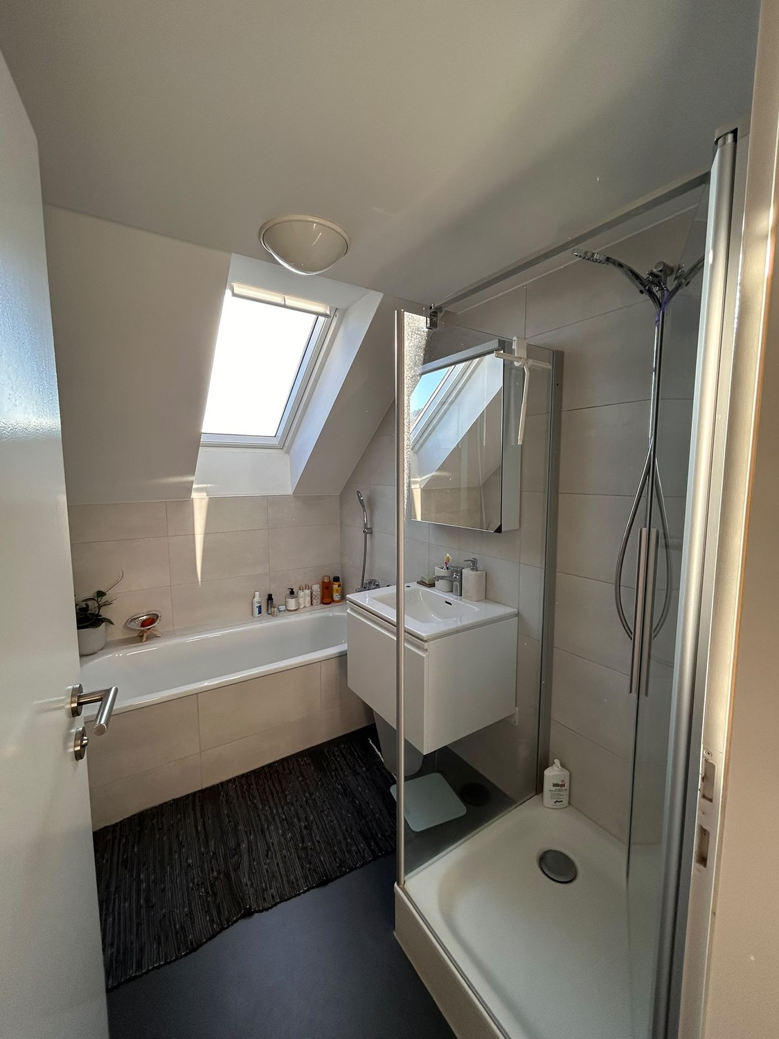Appartement de 3 ½ pièces