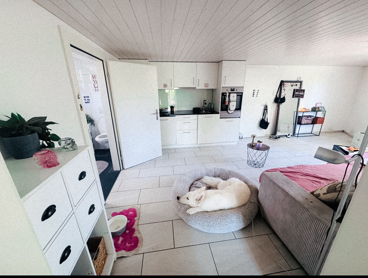 Appartement de 1 pièce, photo 2 sur 8