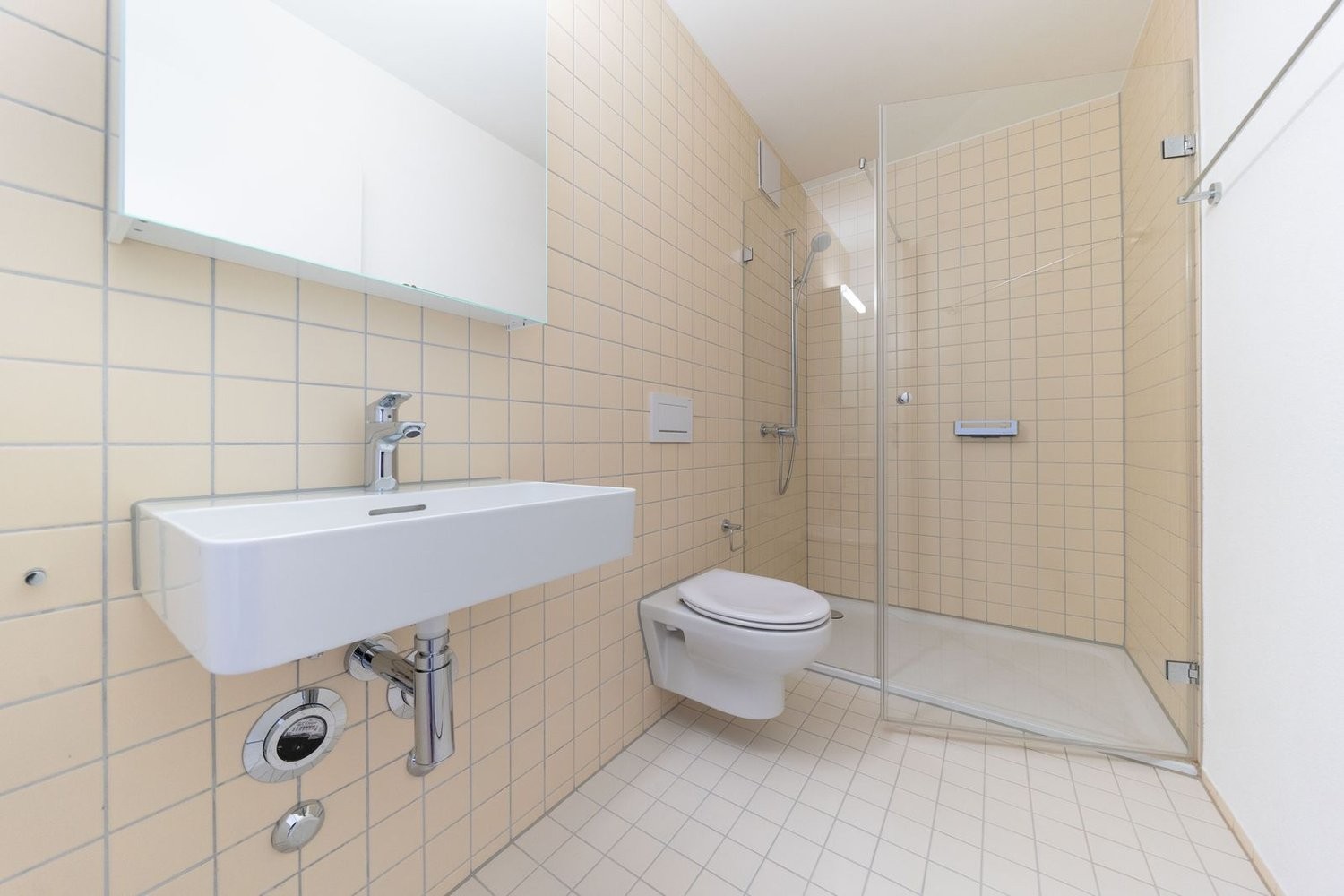 Appartement de 5 ½ pièces