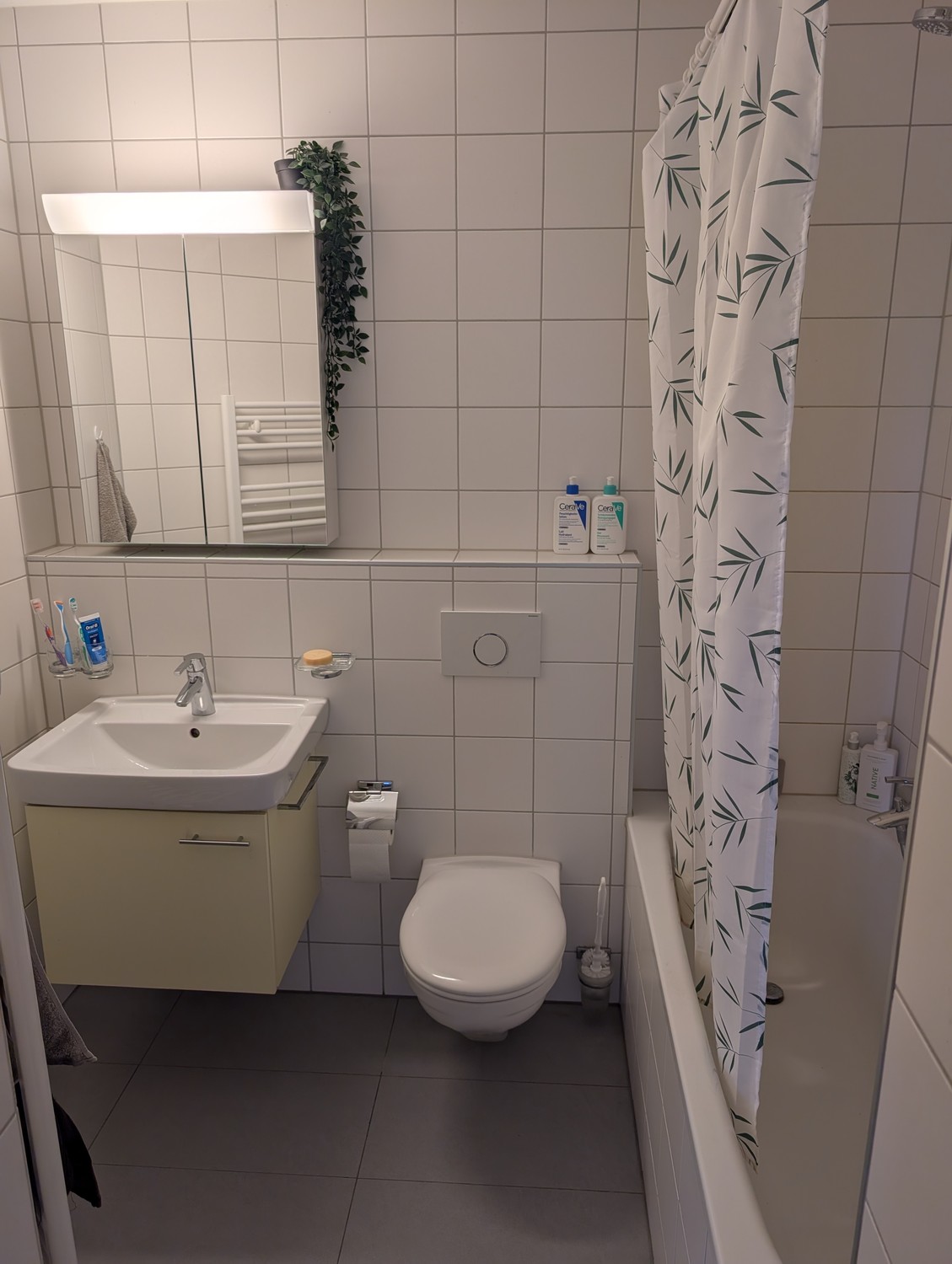 Appartement de 2 ½ pièces, photo 6 sur 7