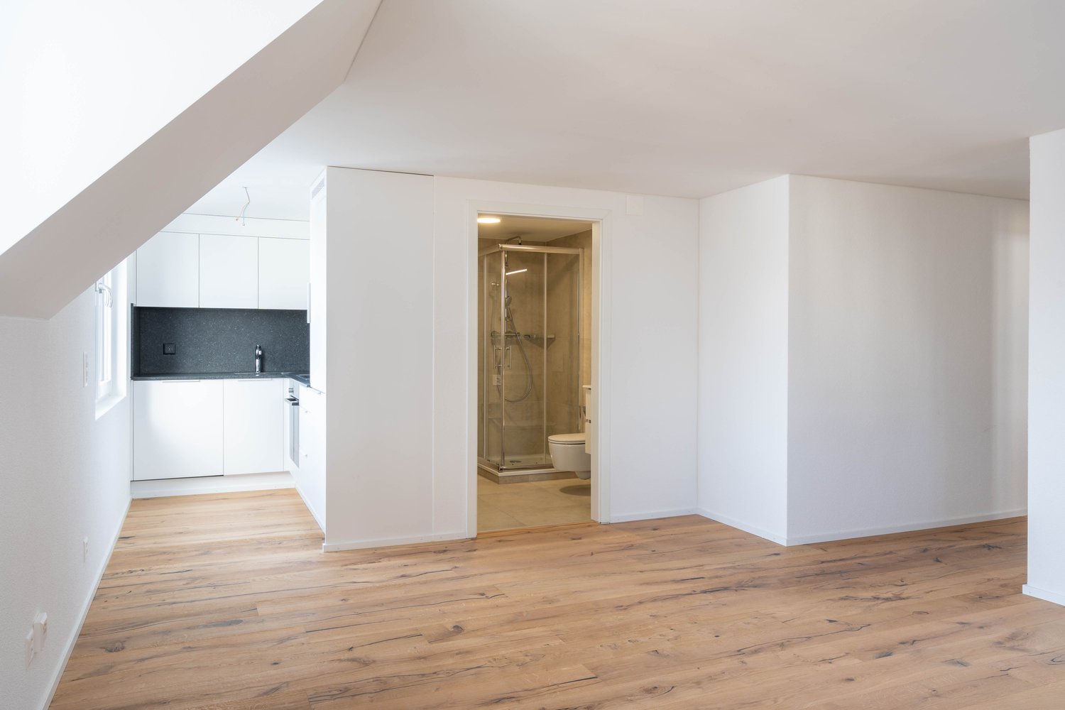 Appartement de 3 ½ pièces, photo 1 sur 7