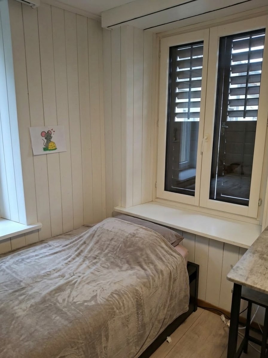 Appartement d'une pièce, photo 3 sur 8