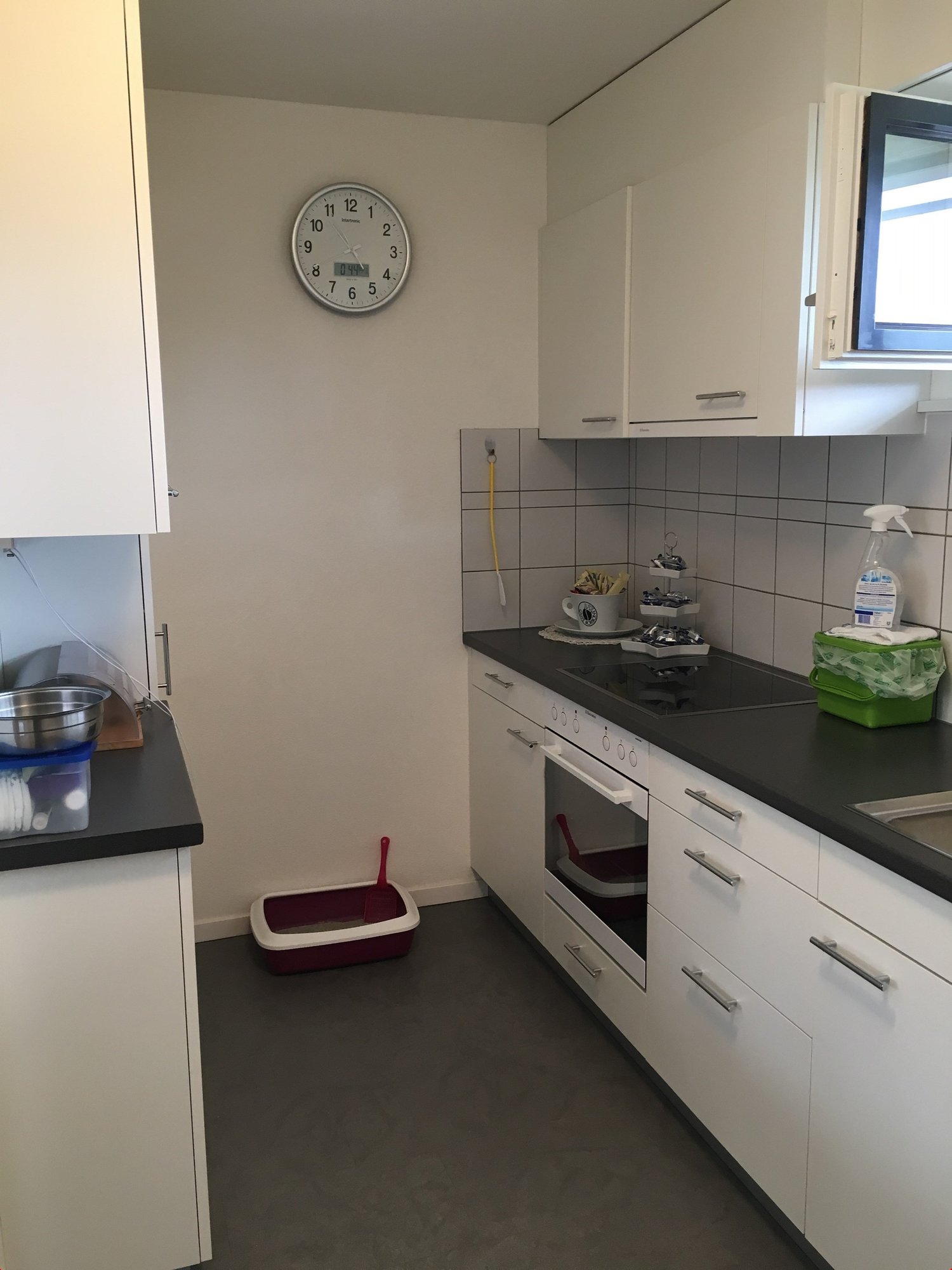 Appartement de 3 ½ pièces