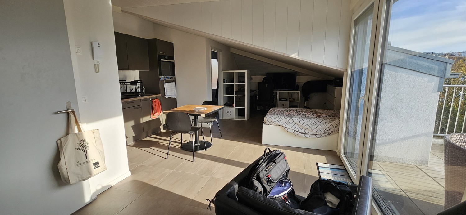 2 ½ rooms apartment, photo 10 sur 10