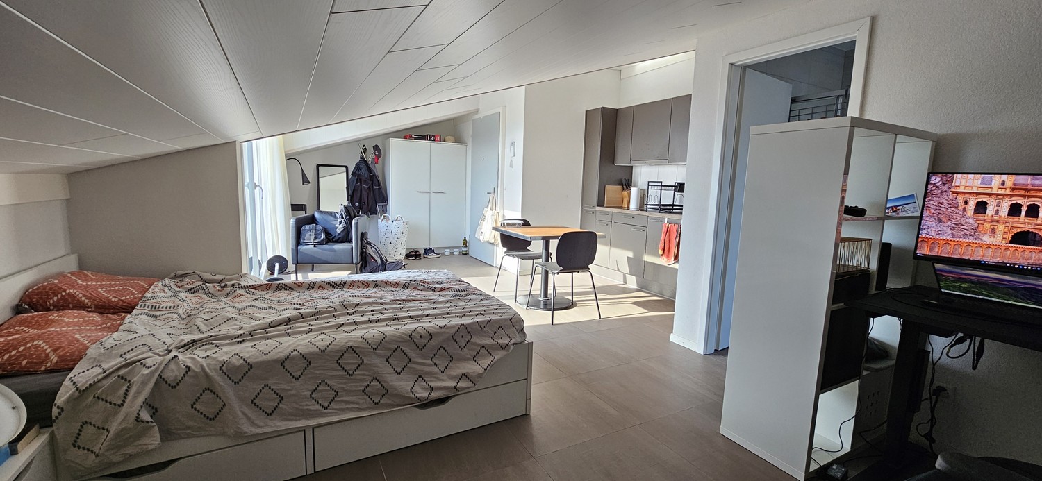 2 ½ rooms apartment, photo 1 sur 10