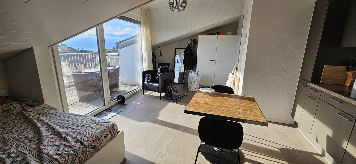 2 ½ rooms apartment, photo 7 sur 10