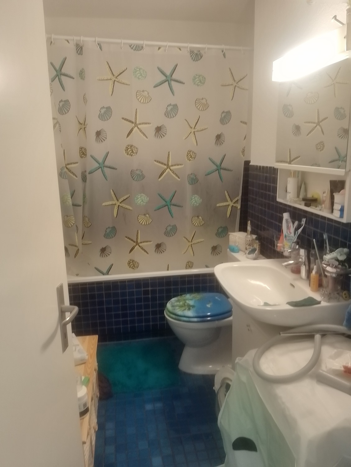 Appartement de 3 ½ pièces, photo 3 sur 6