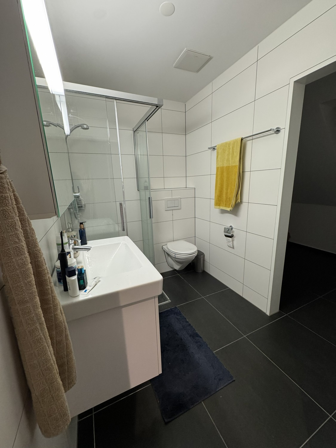 Appartement de 2 ½ pièces, photo 9 sur 10