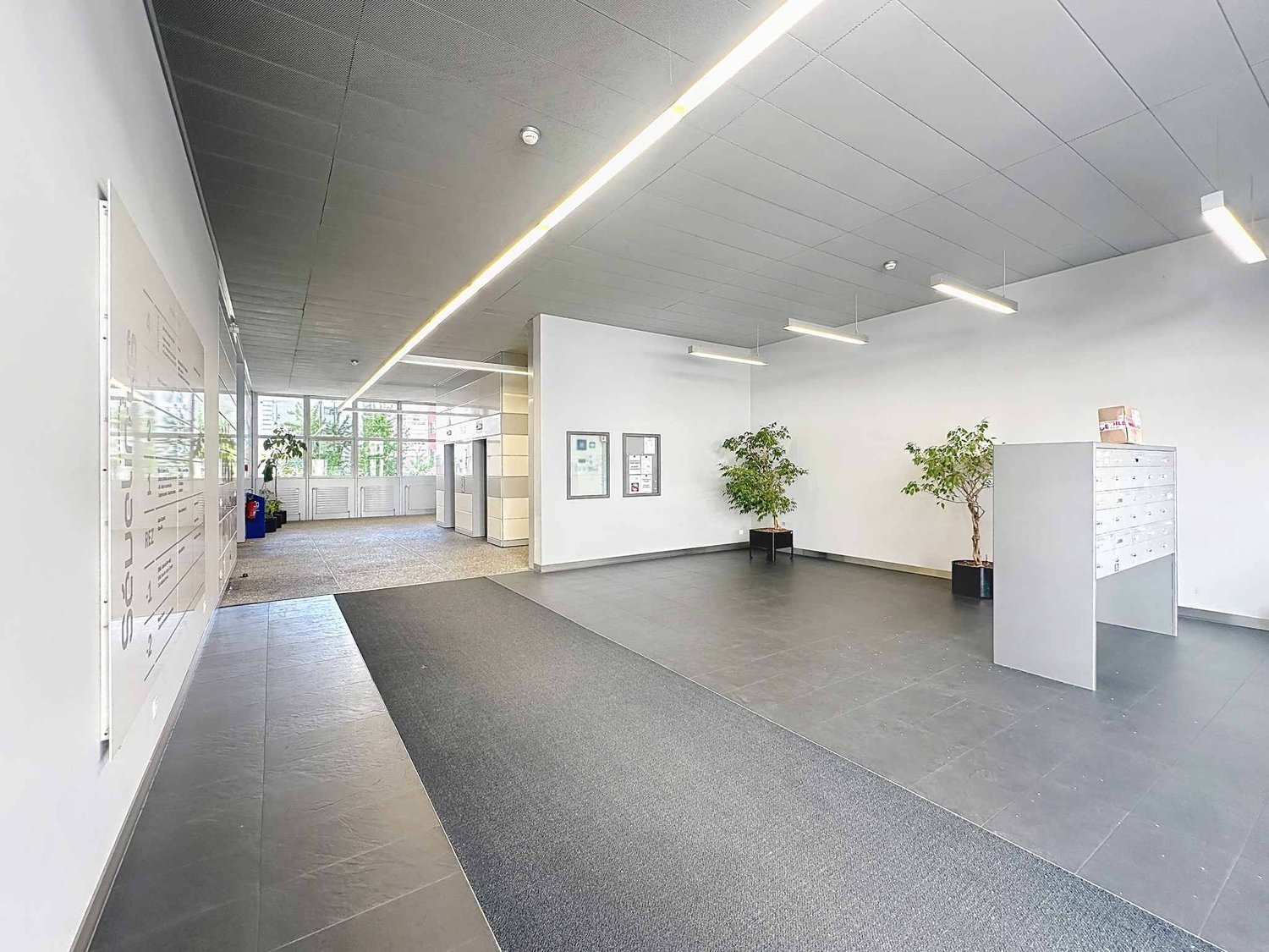 1262m² commercial, photo 7 sur 10