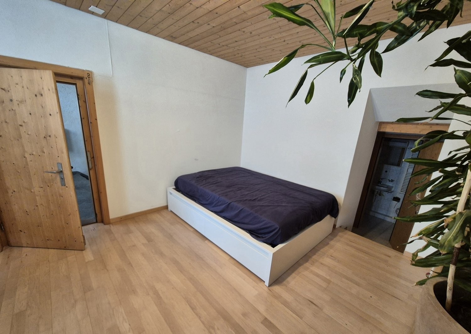 Appartement meublé de 2 ½ pièces, photo 1 sur 5