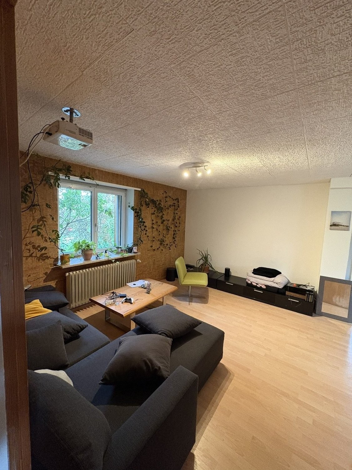 Room in a shared flat