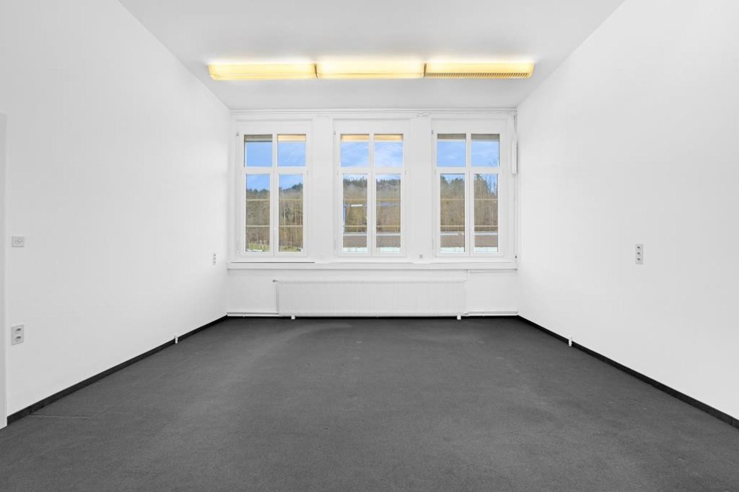 50m² bureau, photo 1 sur 10