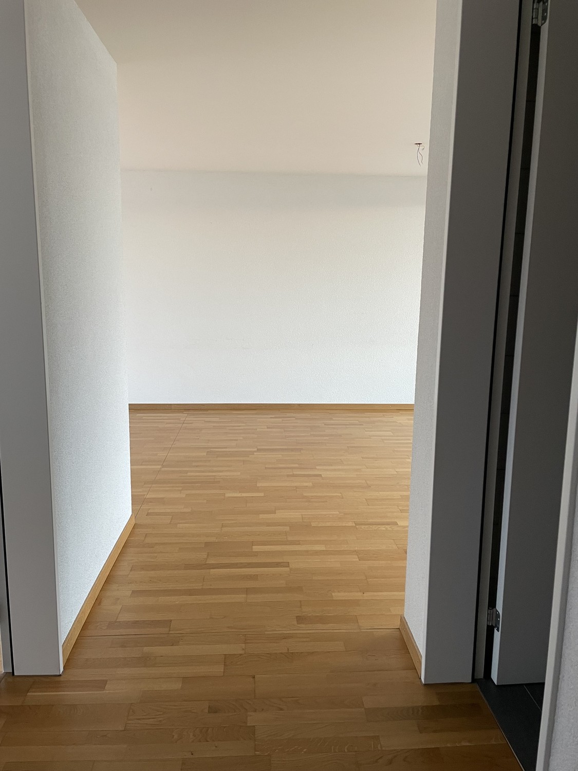 Appartement 1 ½ pièces, photo 1 sur 10