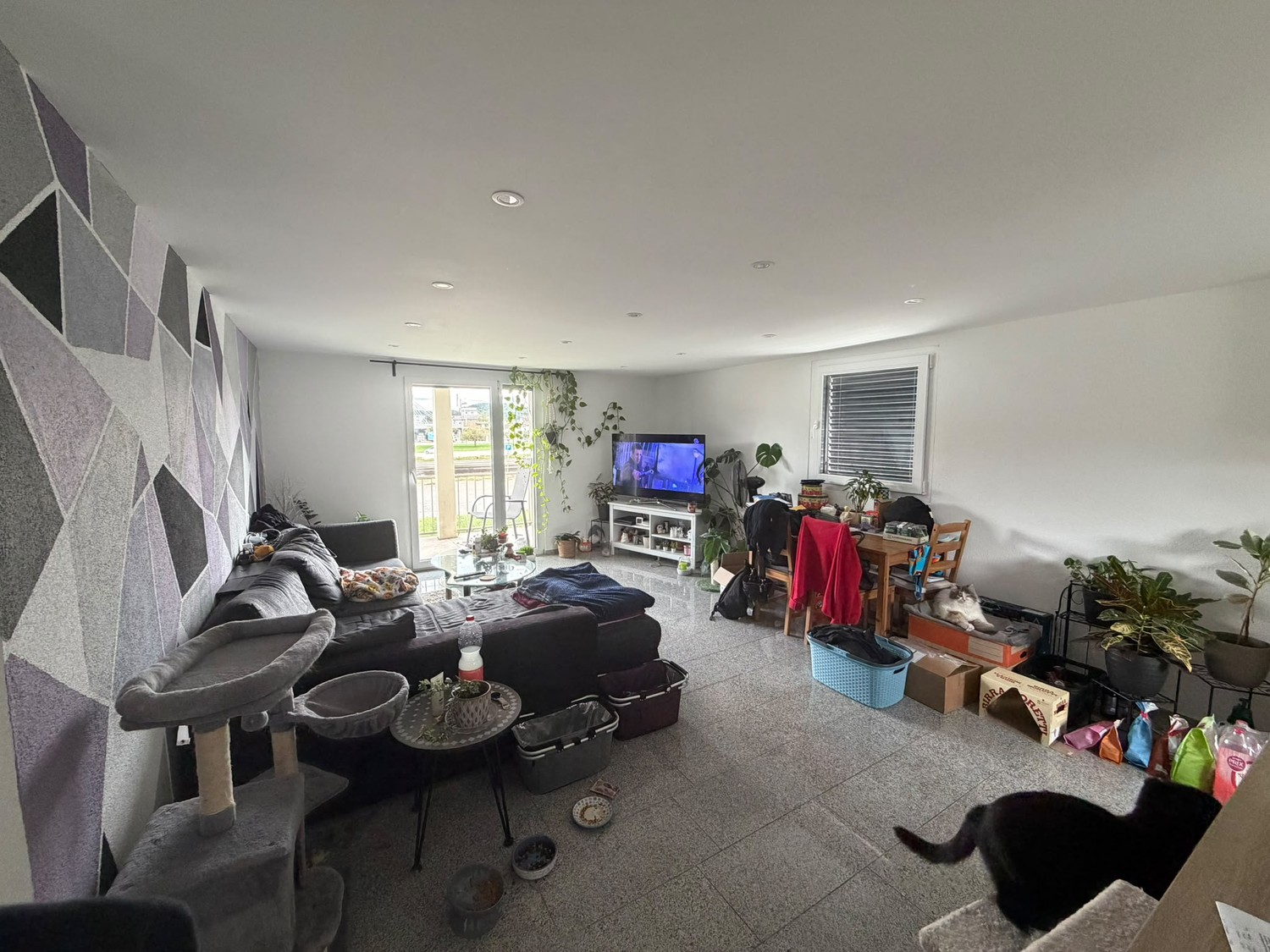 Appartement de 3 ½ pièces, photo 1 sur 6