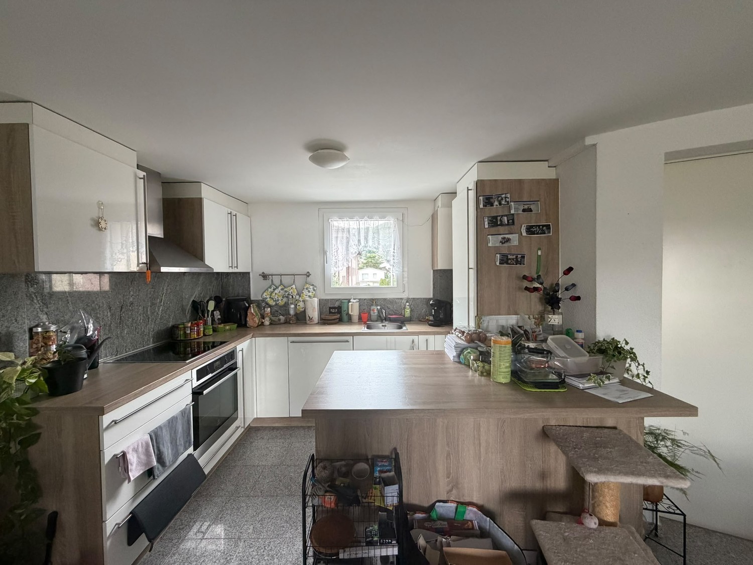 Appartement de 3 ½ pièces, photo 3 sur 6