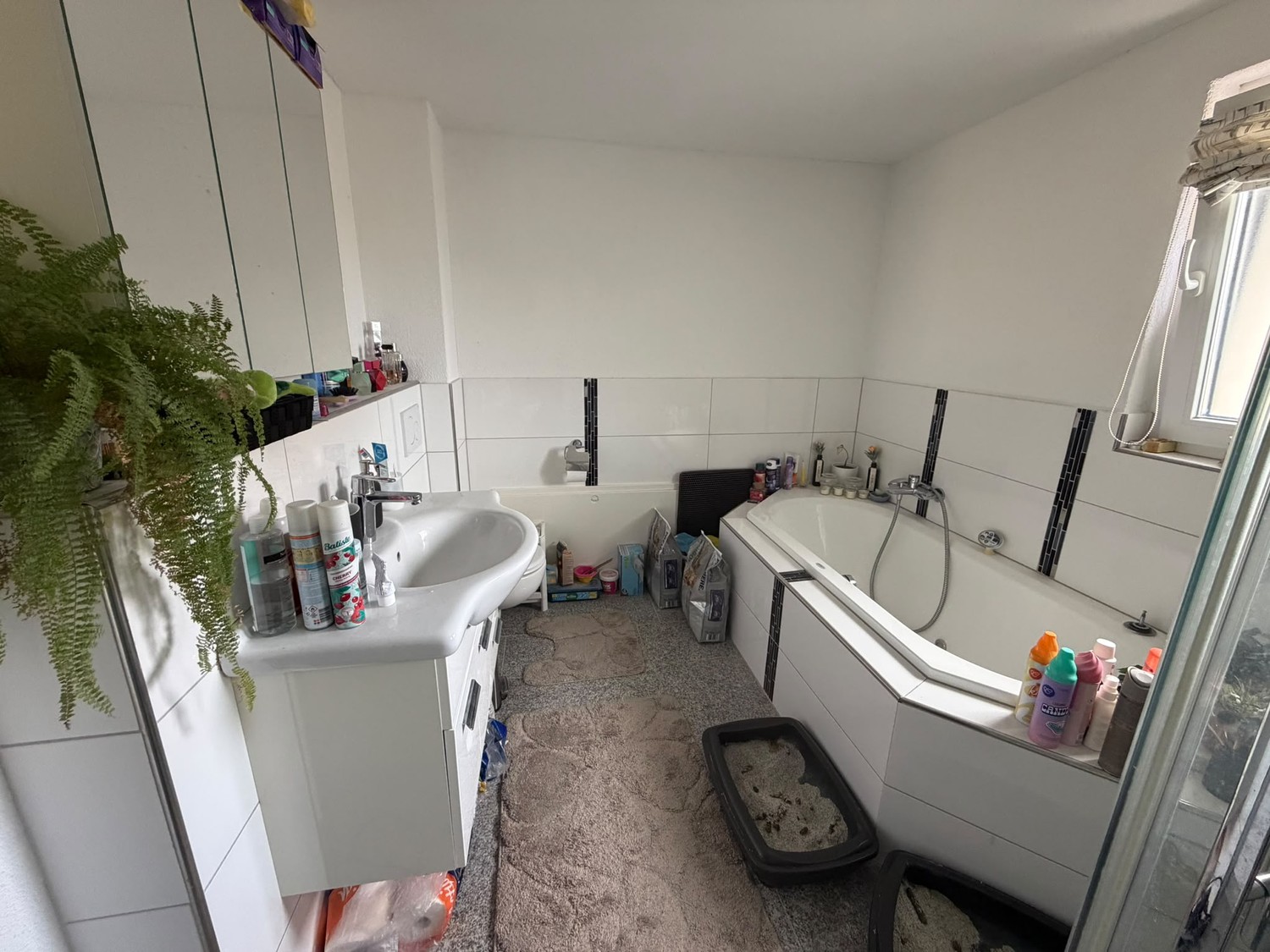 Appartement de 3 ½ pièces, photo 6 sur 6