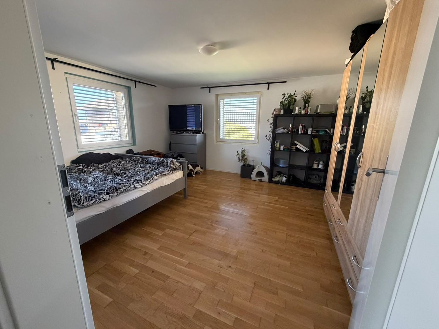 Appartement de 3 ½ pièces, photo 5 sur 6