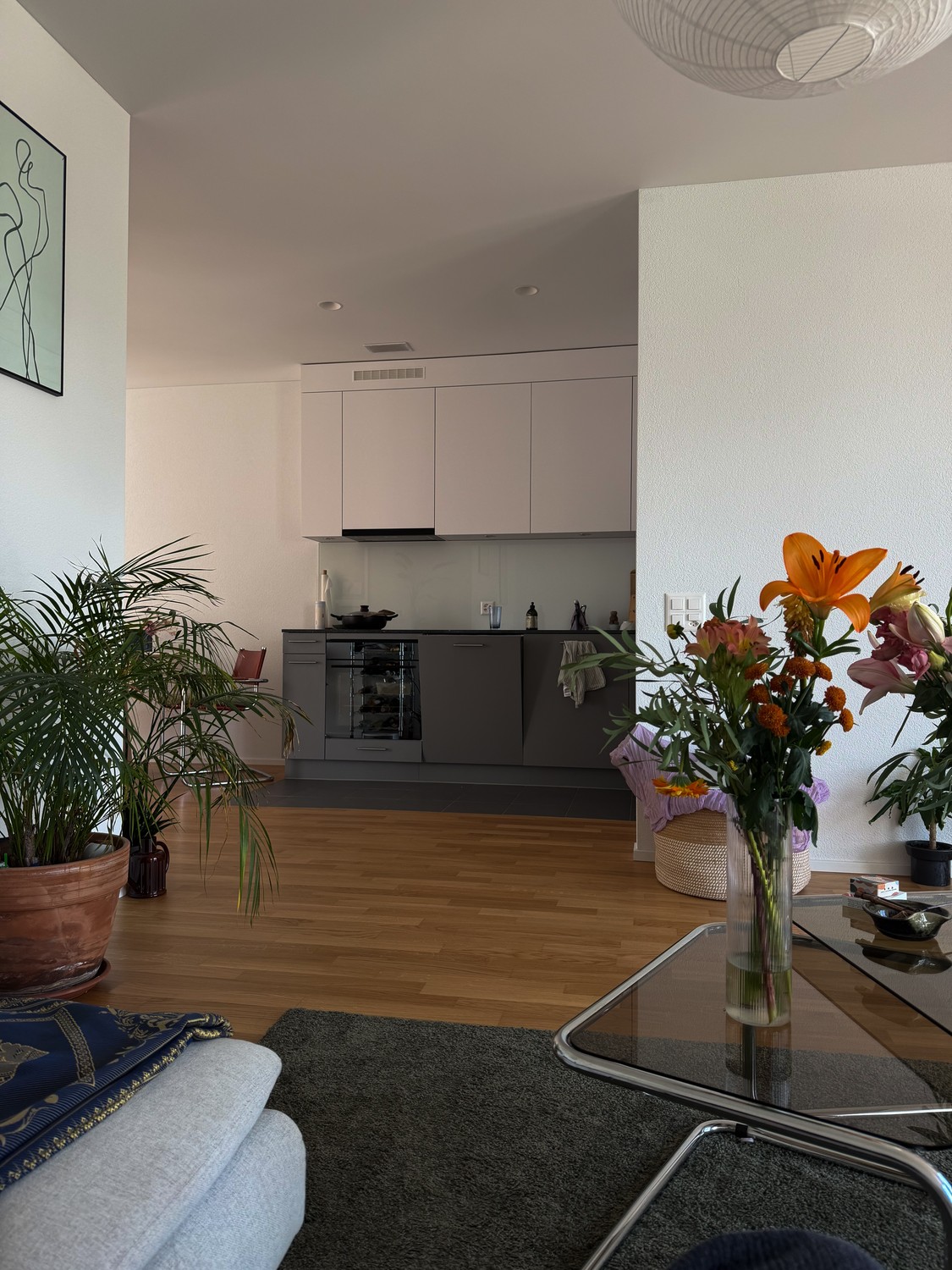 Appartement de 2 ½ pièces