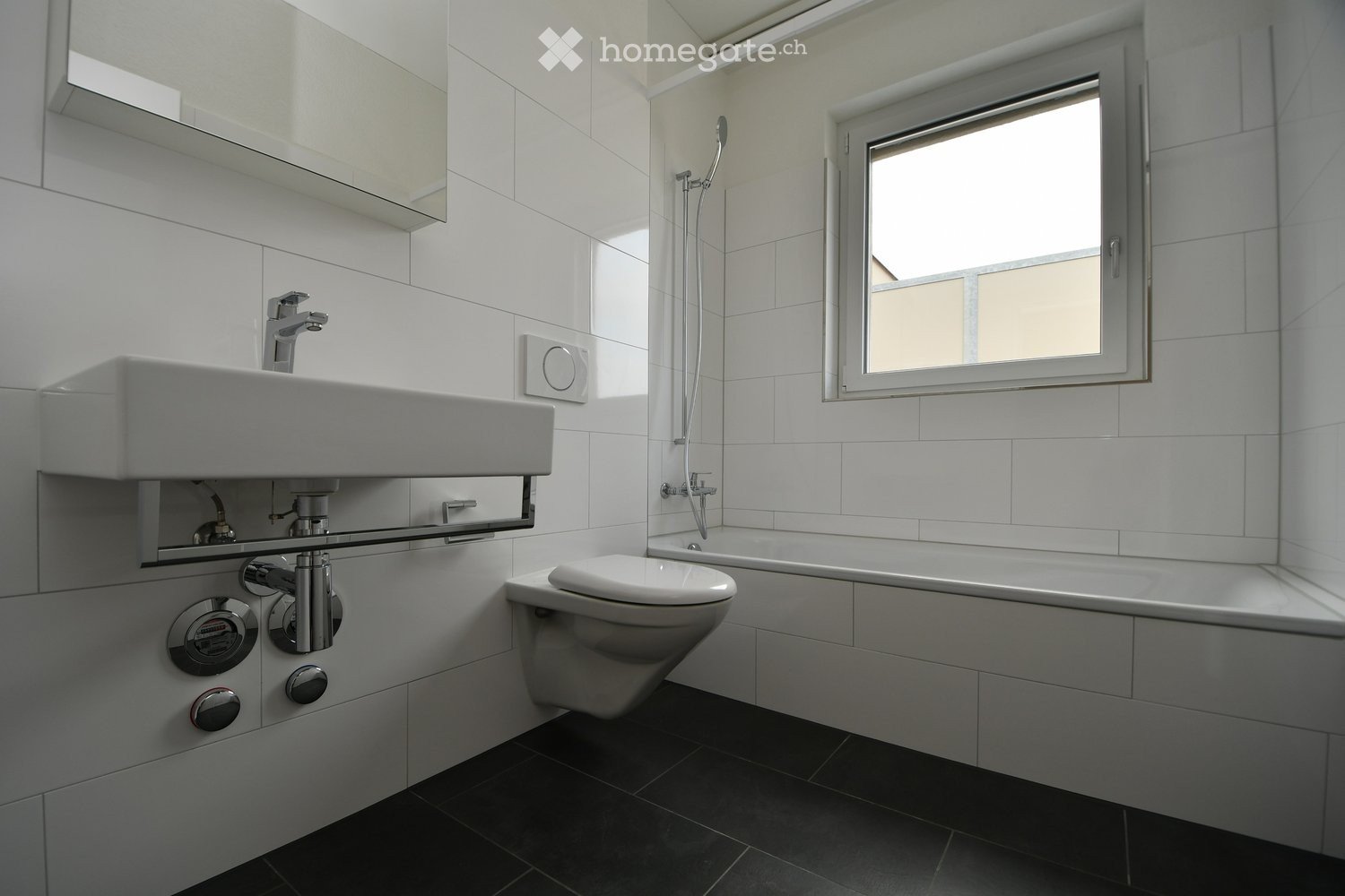 4 ½ pièces appartement au grenier