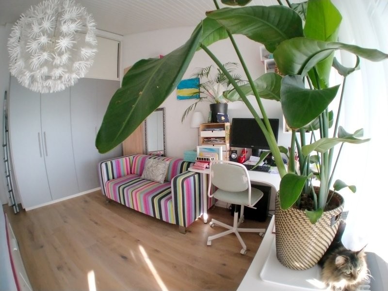 Appartement meublé de 5 ½ pièces, photo 5 sur 10