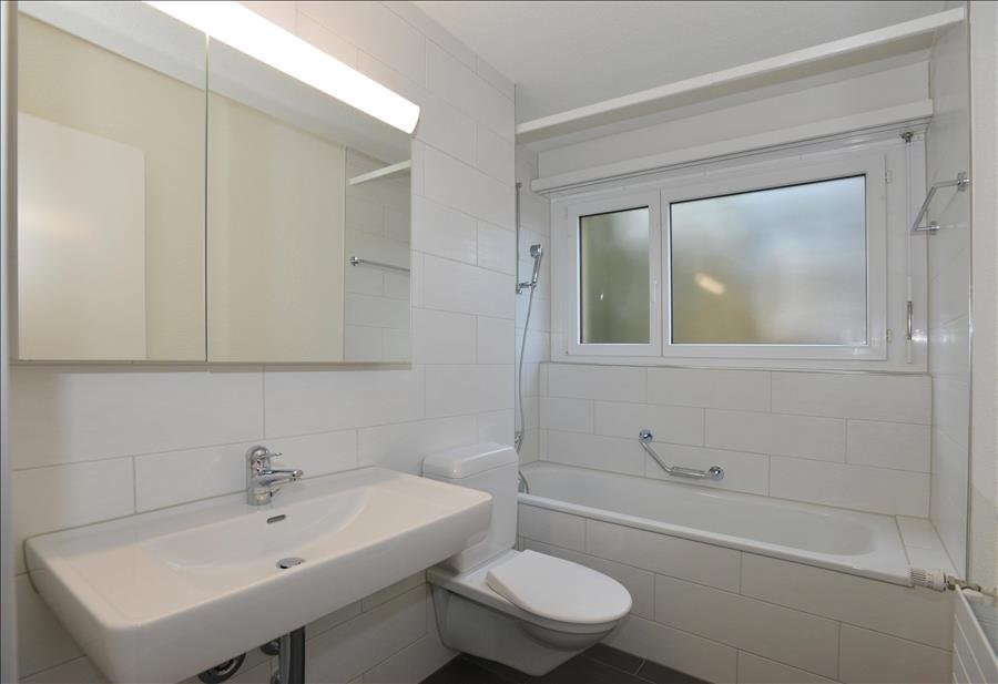Appartement de 3 ½ pièces