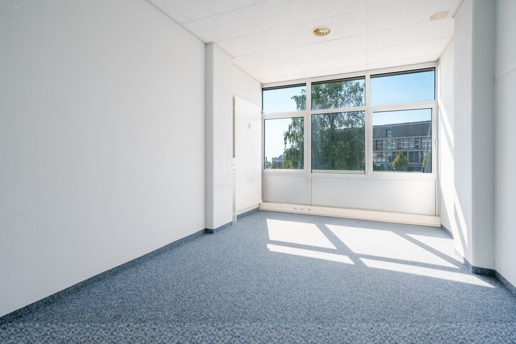 551m² office