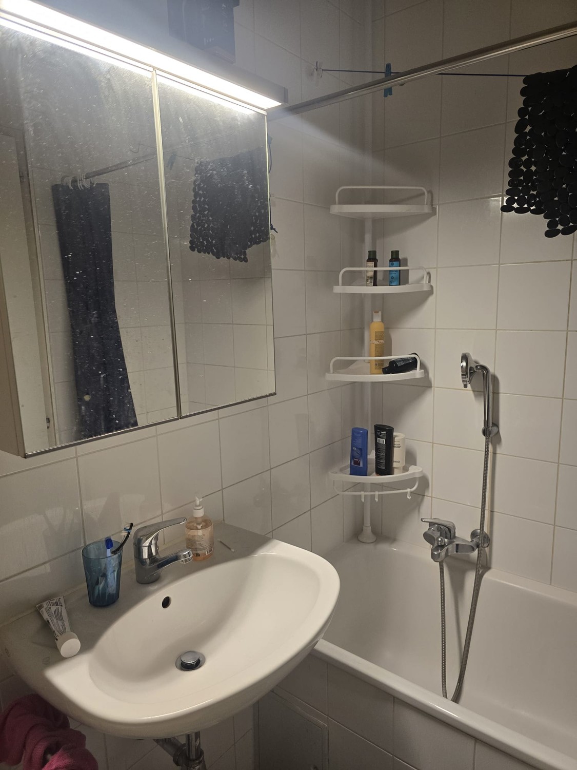 1 ½ rooms apartment, photo 6 sur 6