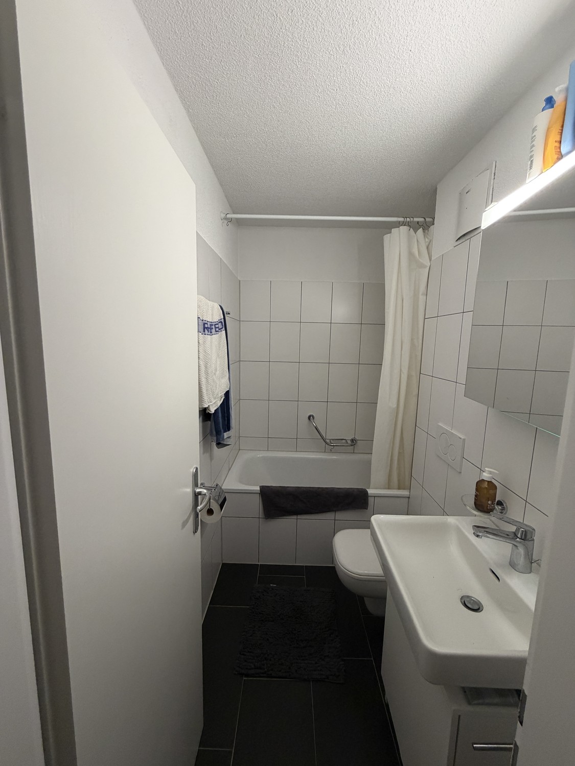 Appartement de 3 ½ pièces