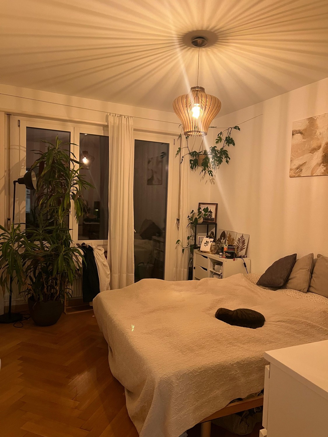 Chambre en colocation