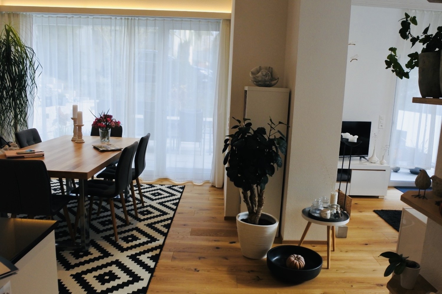 Appartement de 3 ½ pièces