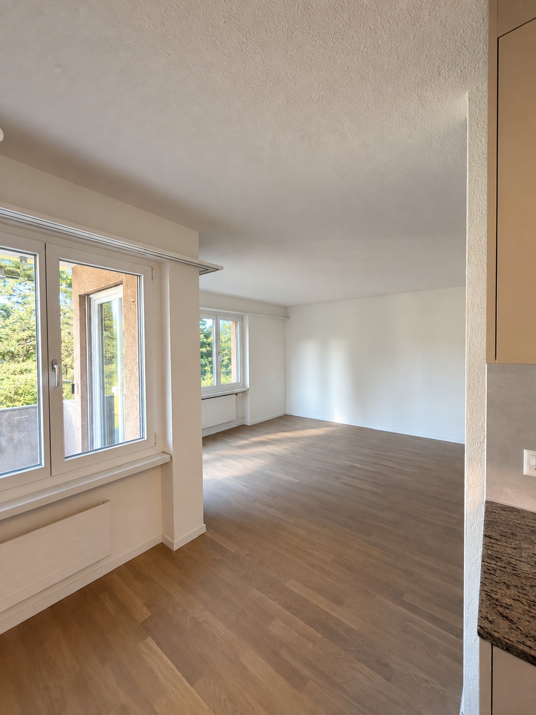 Appartement de 3 ½ pièces