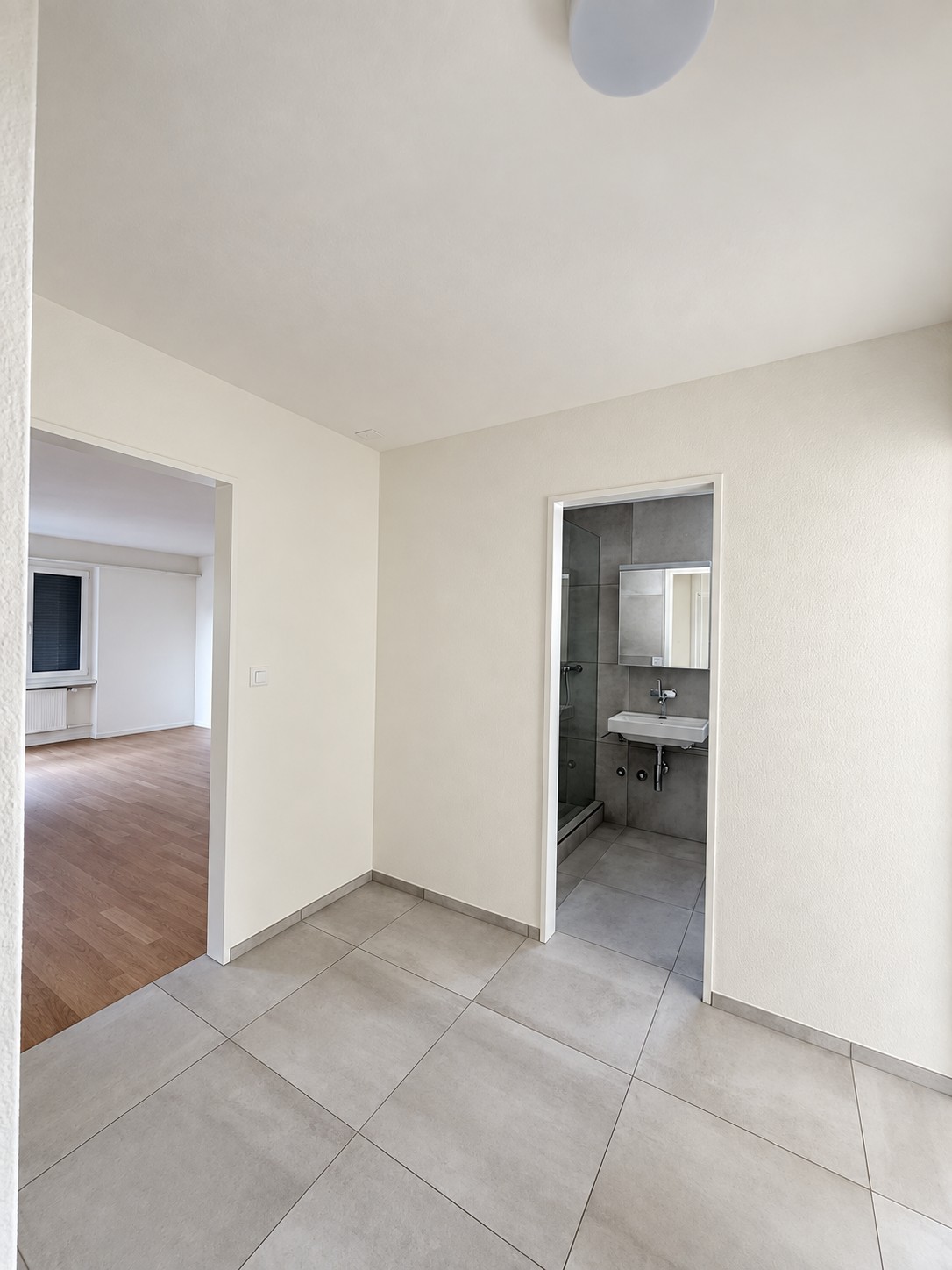 Appartement de 3 ½ pièces