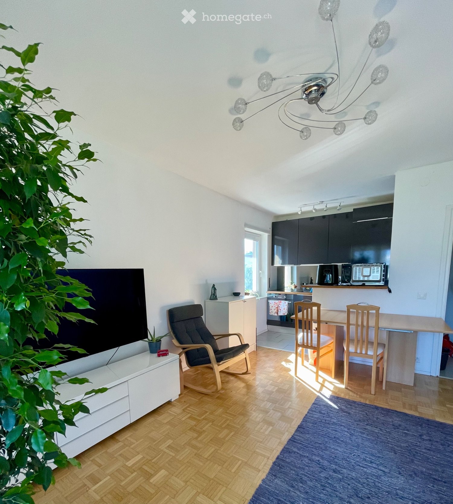 Appartement de 3 ½ pièces