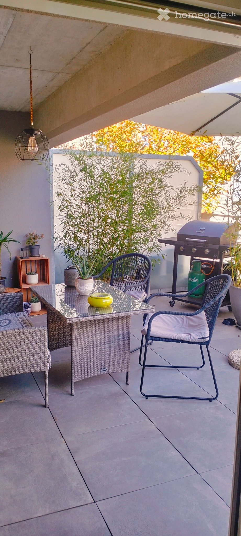 2 ½ rooms apartment, photo 4 sur 5