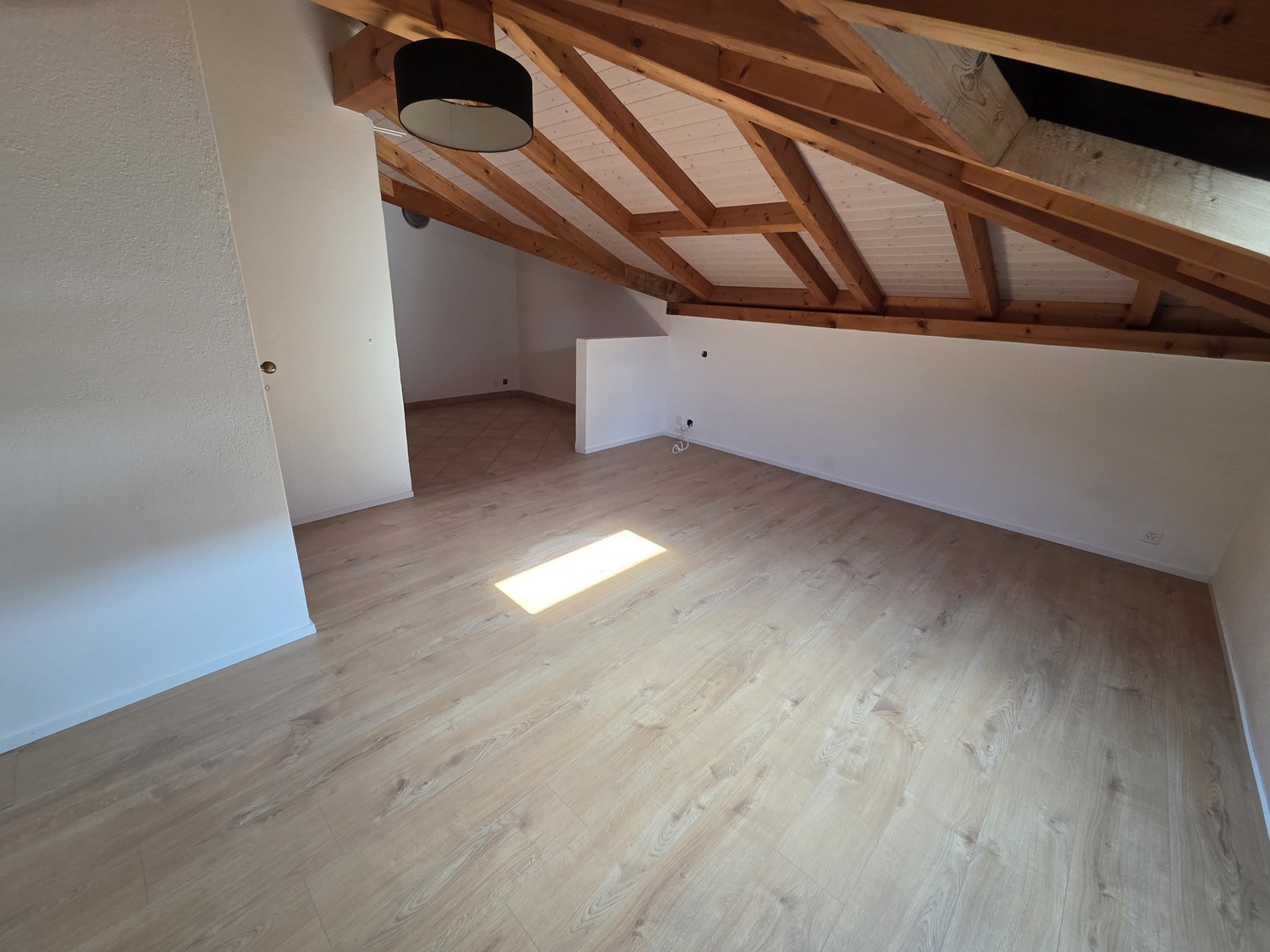 3 ½ rooms apartment, photo 5 sur 7