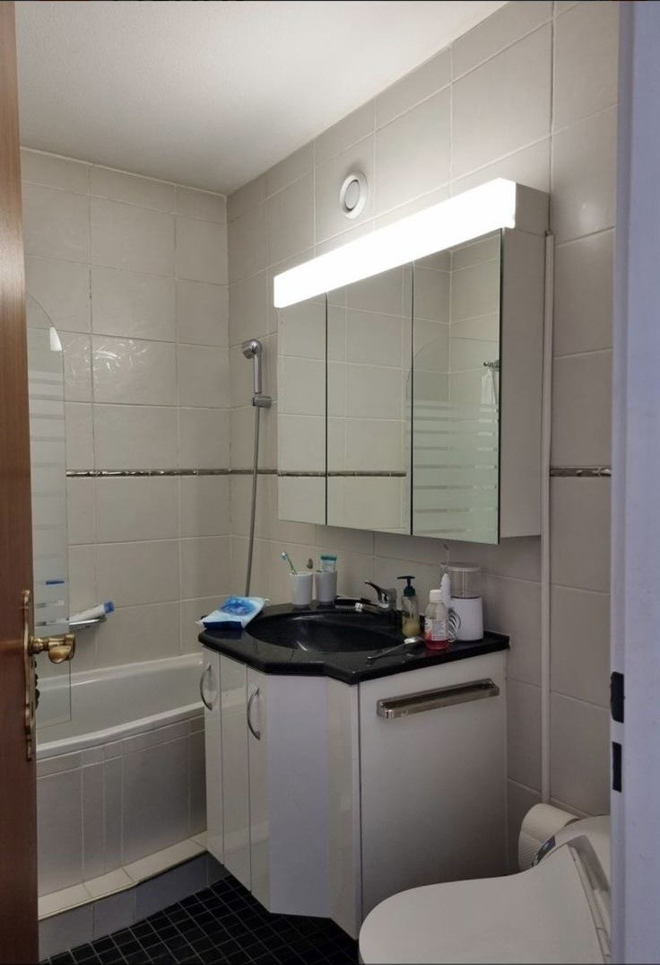 Appartement de 3 ½ pièces