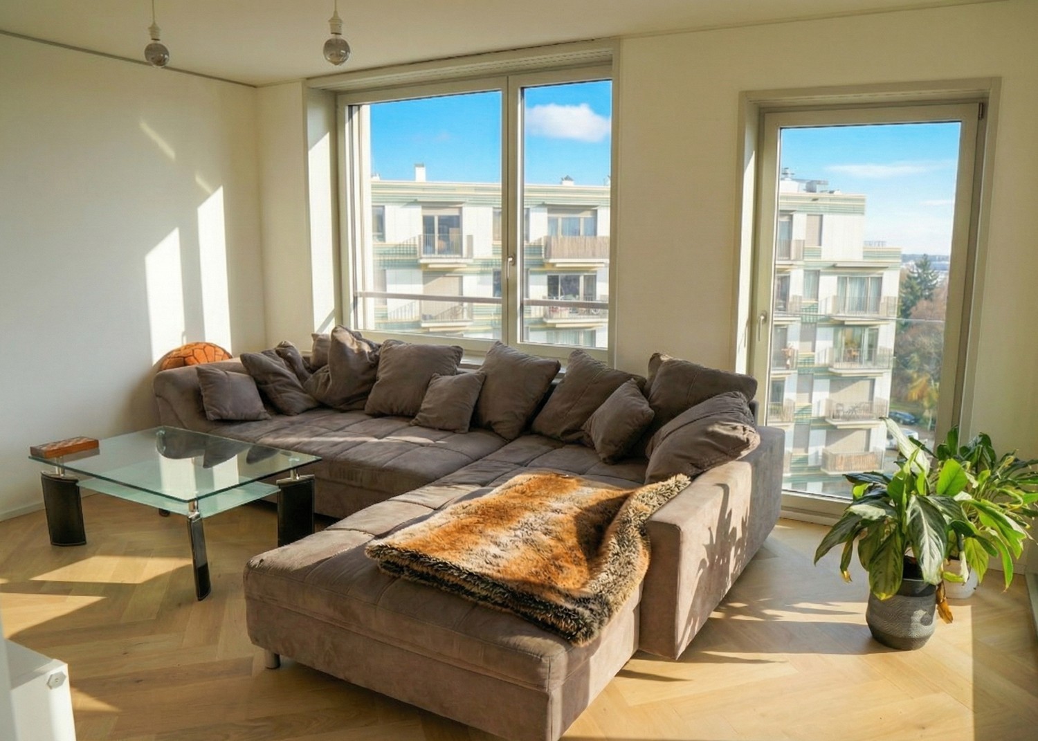 Chambre en colocation